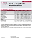 Lincoln AssetEdge VUL monthly performance snapshot