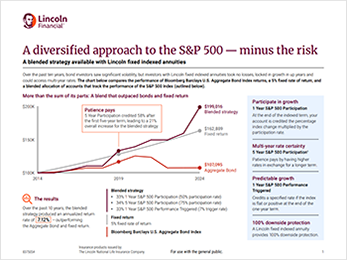 A diversified approach to the S&P 500 — minus the risk flyer image