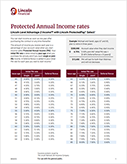ProtectedPay Flyer PDF Clickable Image