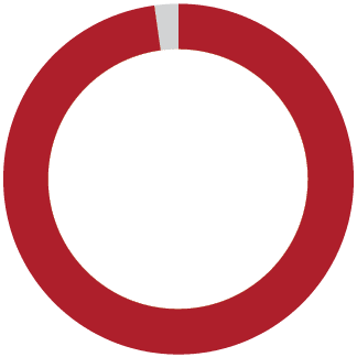 ring chart representing 98%